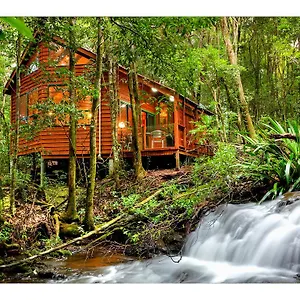 The Mouses House Rainforest Retreat Деревянный коттедж Спрингбрук